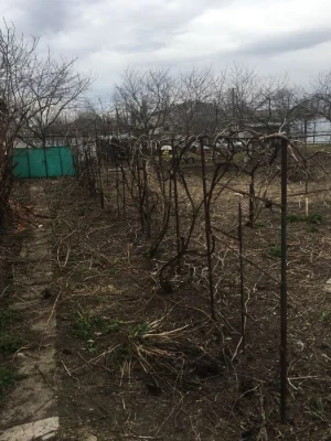 Дом частично под ремонт