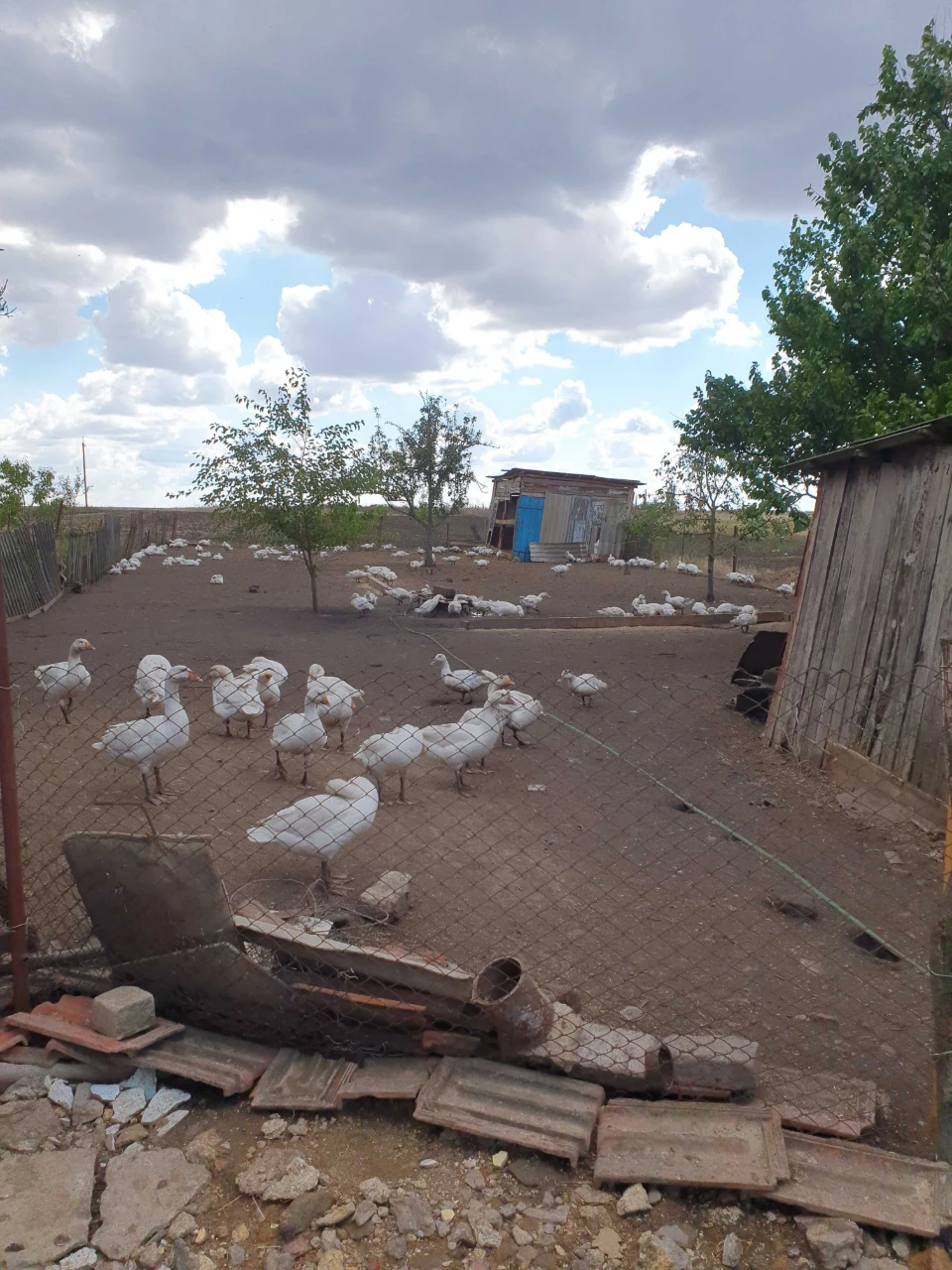 Продам будинок  в миколаївський області