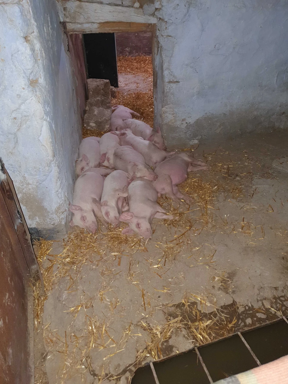 Продам будинок  в миколаївський області