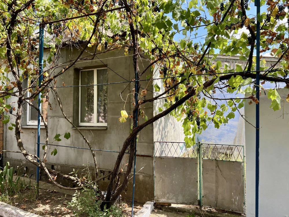 Продається будинок у Новій Одесі