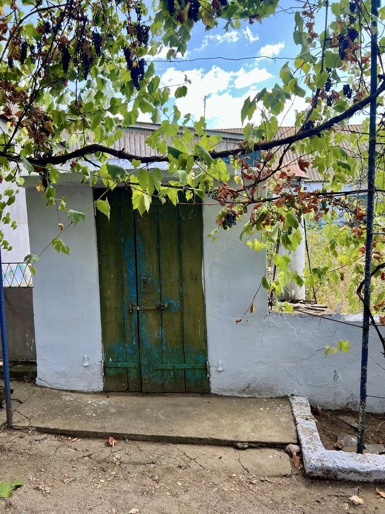 Продається будинок у Новій Одесі