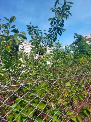 Продам участок под дачу с документами + дом(недострой)