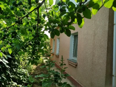 Продаю дом, г. Очаков