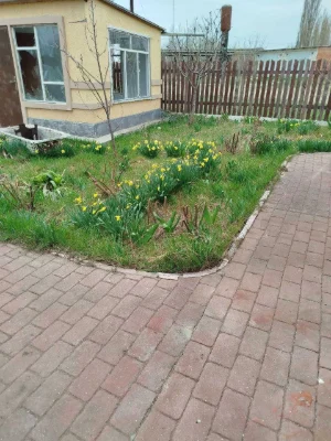 Продаже будинку в Очакові