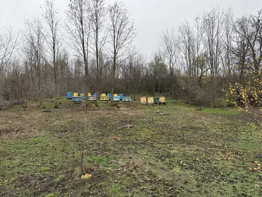 Продам маленький будинрк з великою територією