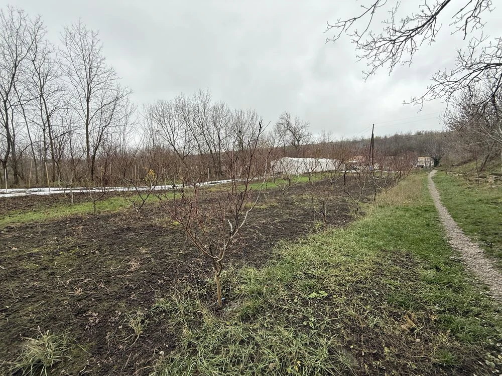 Продам маленький будинрк з великою територією