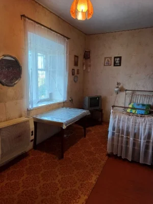 Великий будинок для великої сім'ї