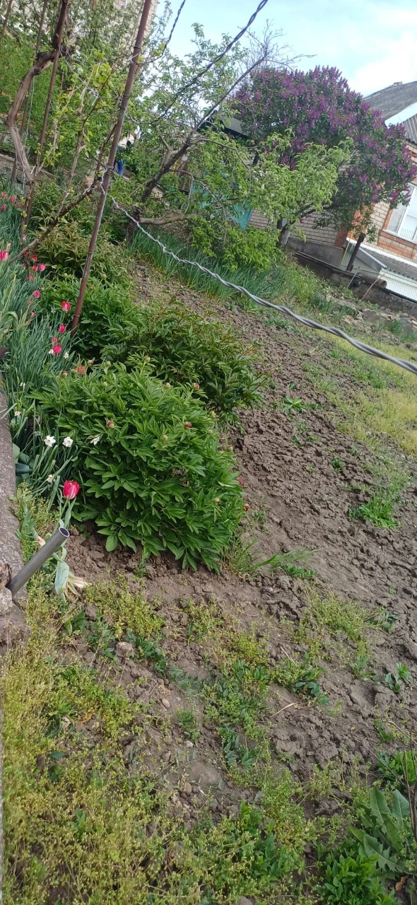 Продам 2х пов.будинок у ріки