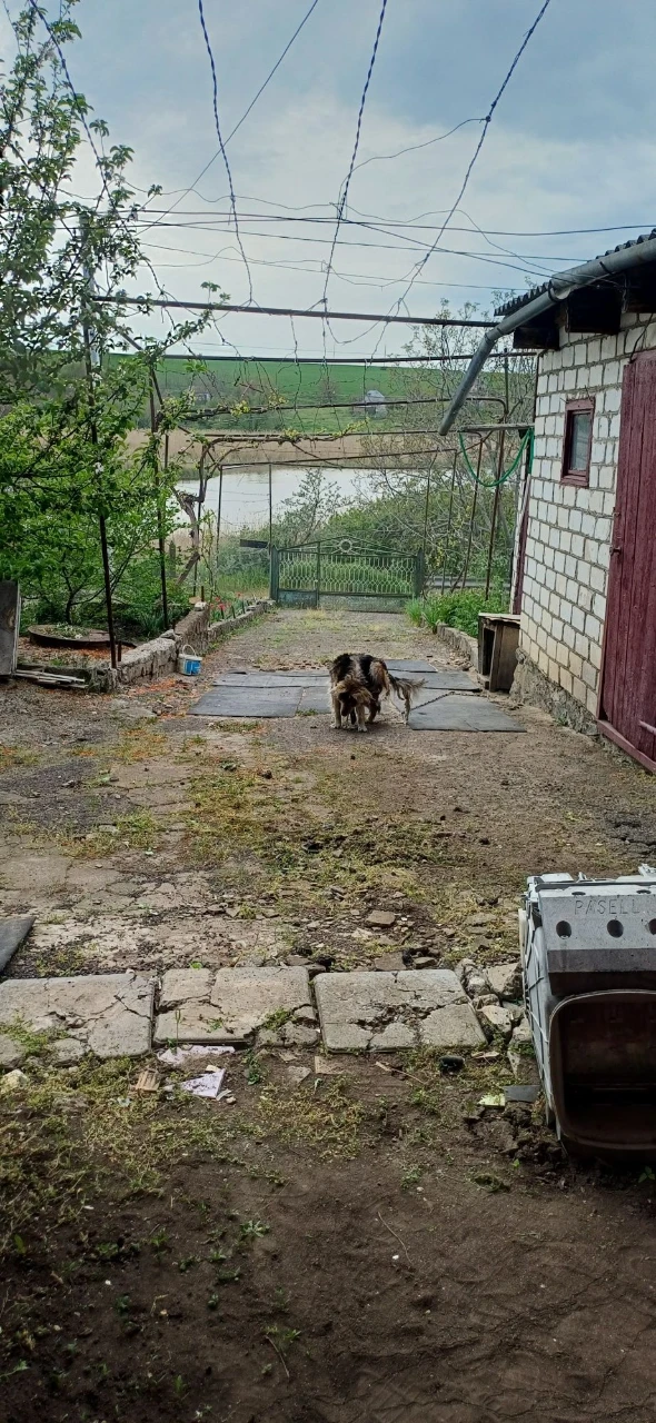 Продам 2х пов.будинок у ріки