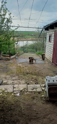 Продам 2х пов.будинок у ріки