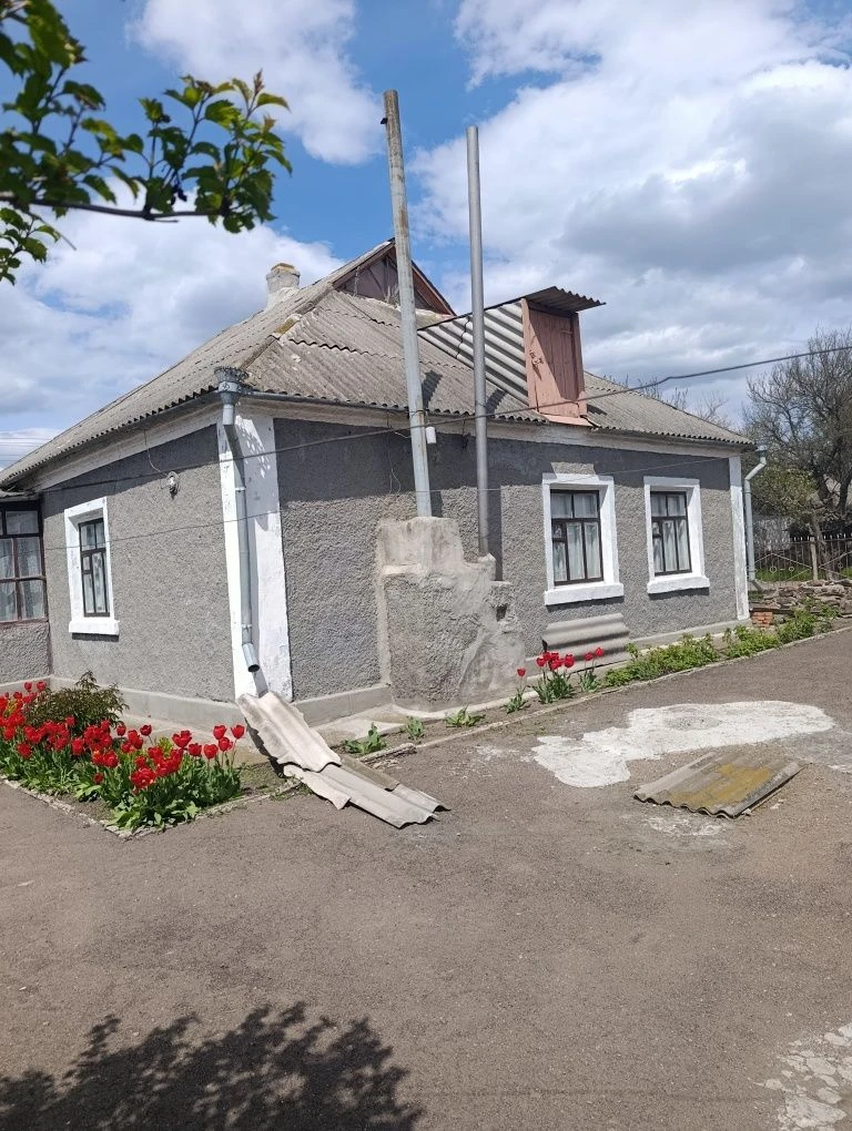 Продається будинок за межами міста