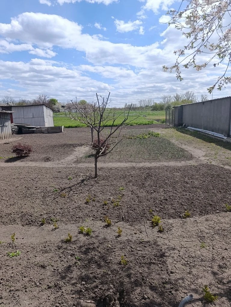 Продається будинок за межами міста