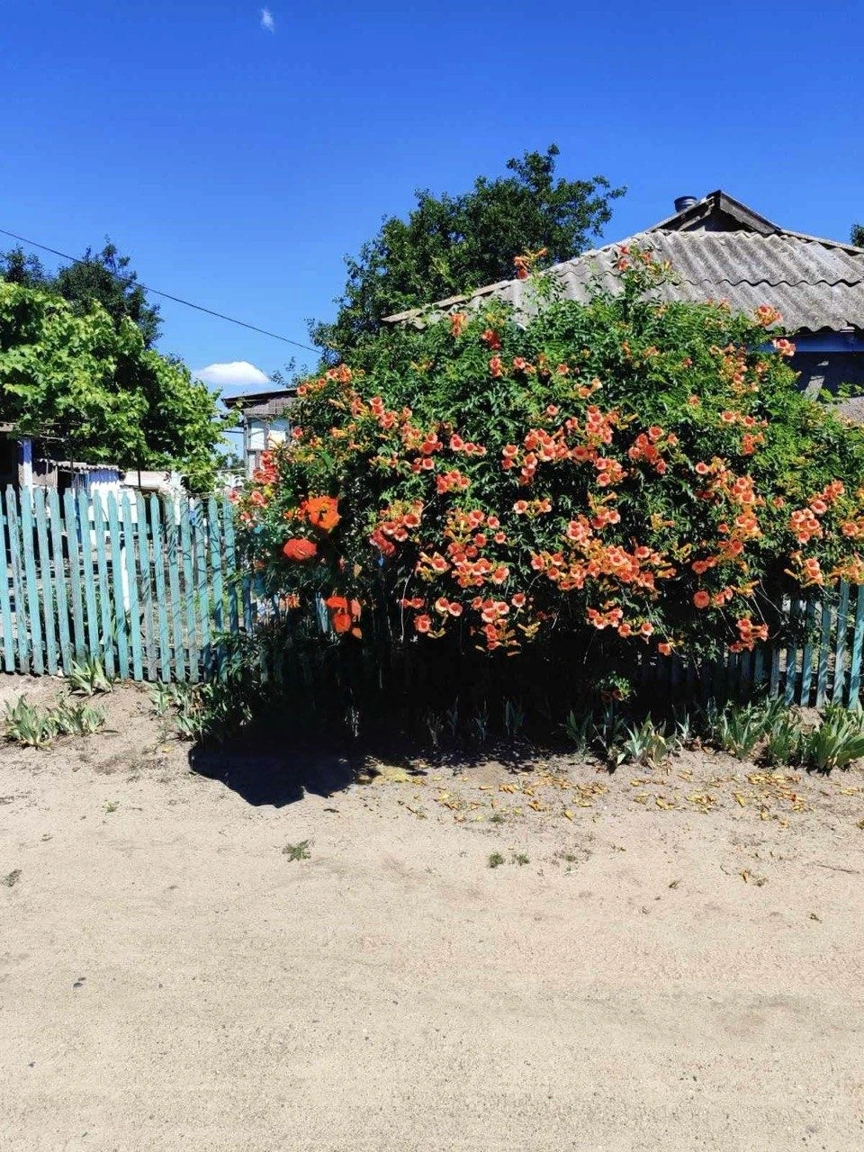Продам дім село Юріївка