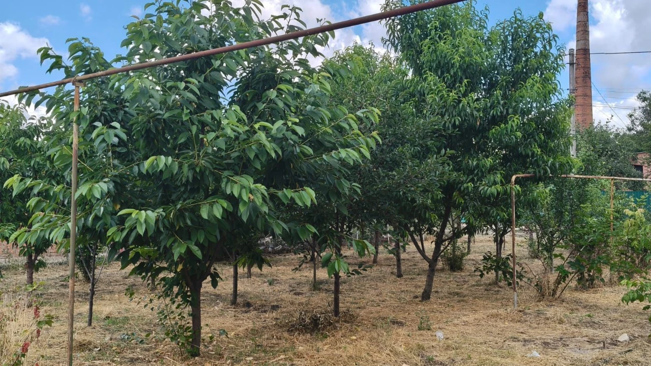 продам будинок в місті Ананьїв
