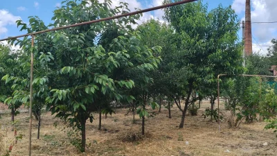 продам будинок в місті Ананьїв