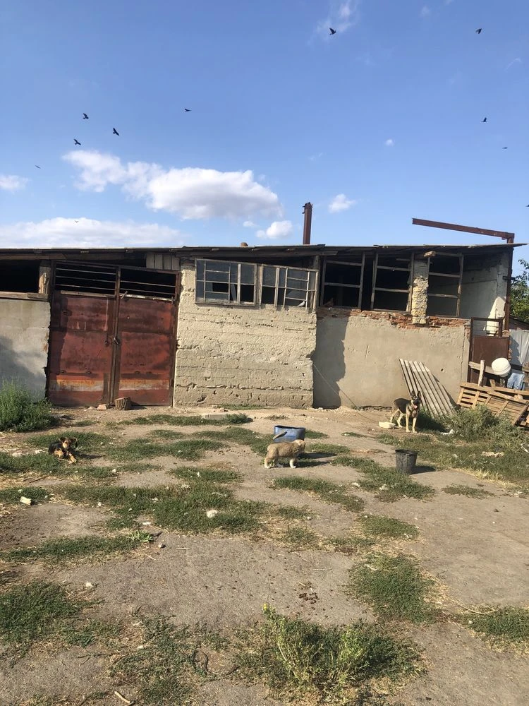 Продам ферму, сарай