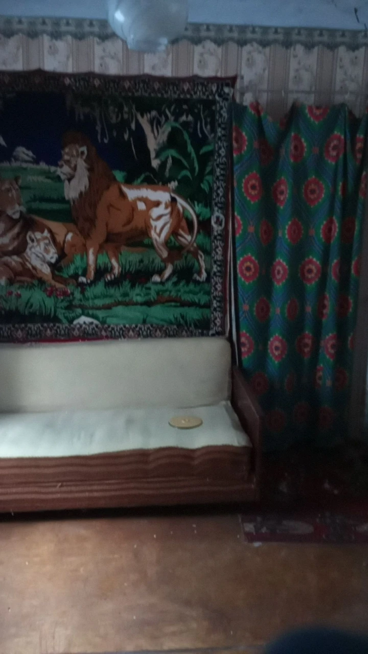 Продам будинок в Балті