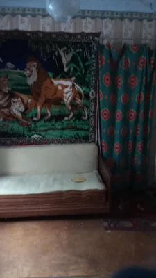 Продам будинок в Балті