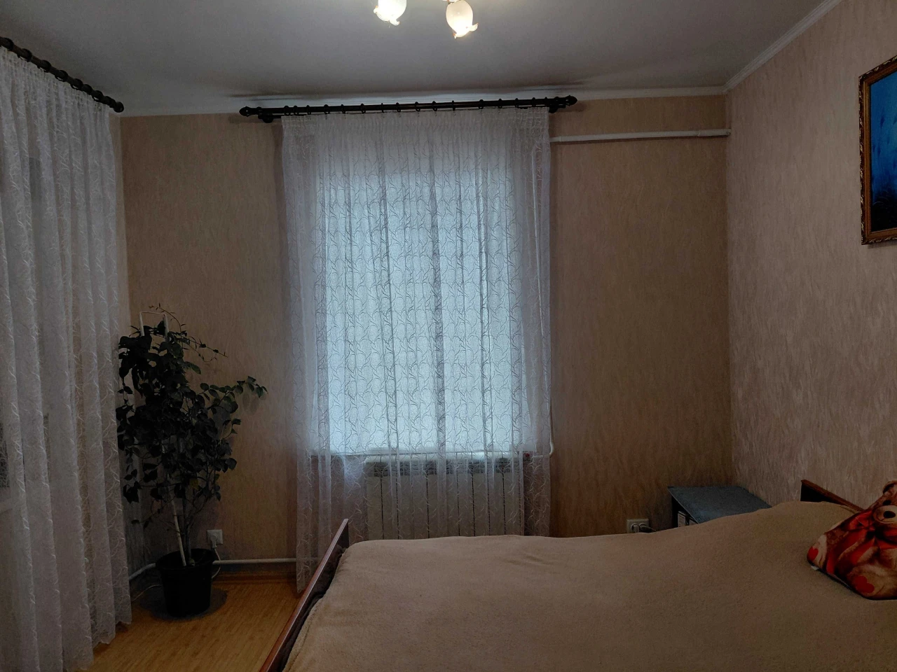 Продам будинок  з великою ділянкою землі в центрі  м. Березі