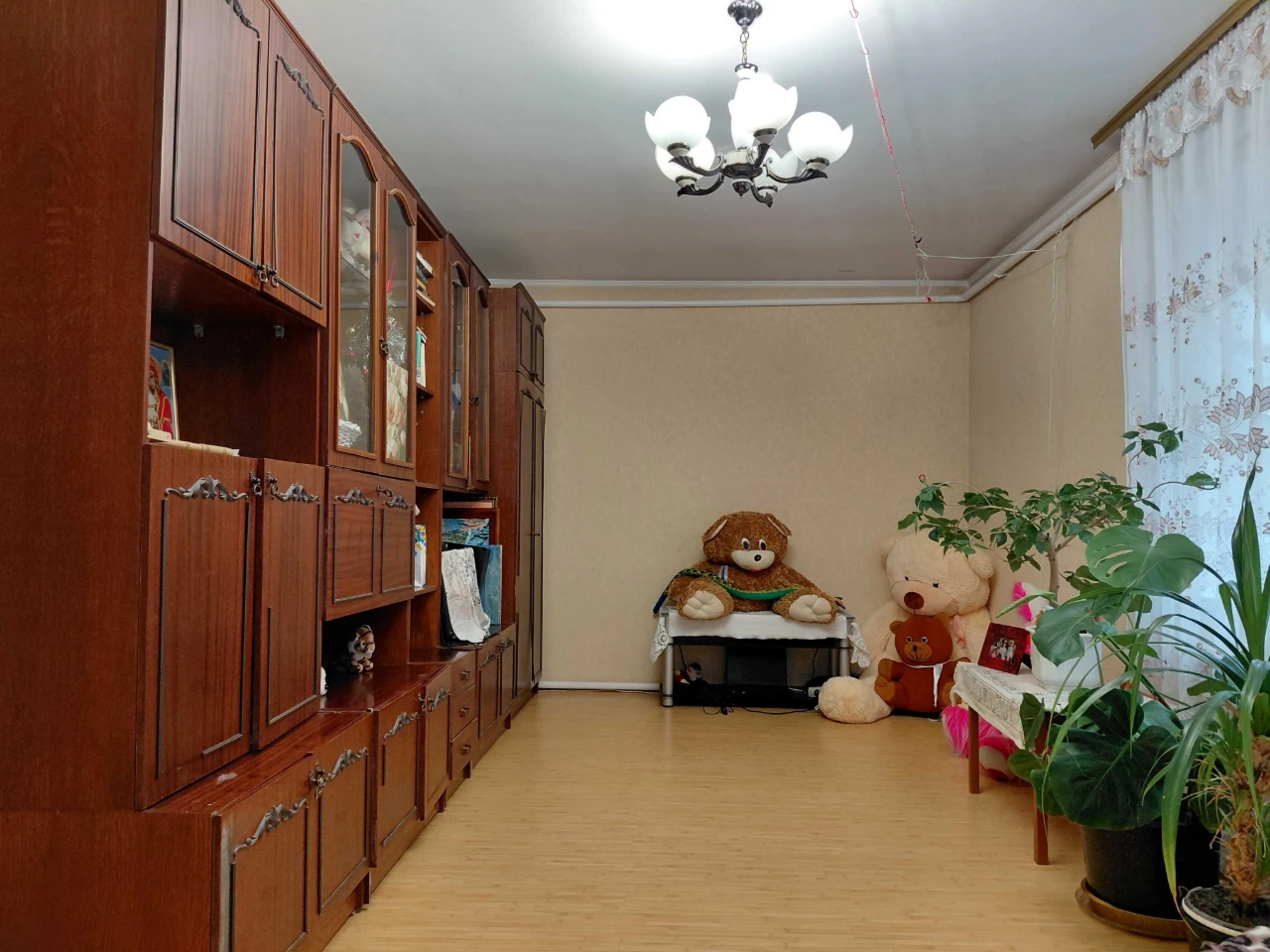 Продам будинок  з великою ділянкою землі в центрі  м. Березі