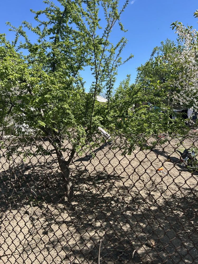 Продам дом в Белгороде - Днестровском, торг