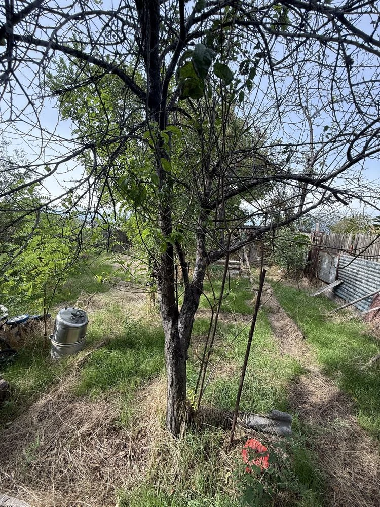 Продам часть дома в центре города