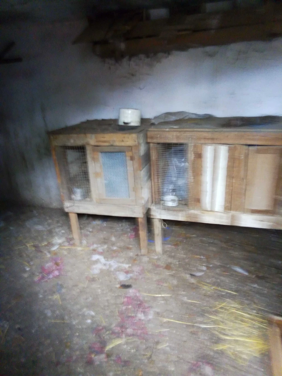 Продам дачу в Белгород-Днестровском