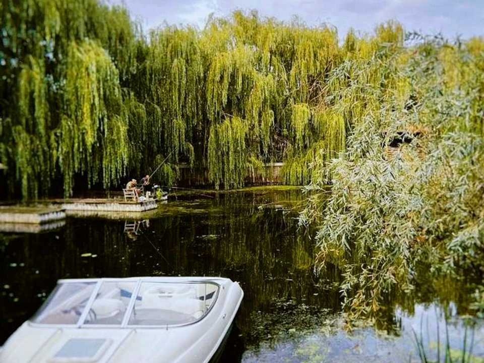 Будинок. Біляївка, Костина