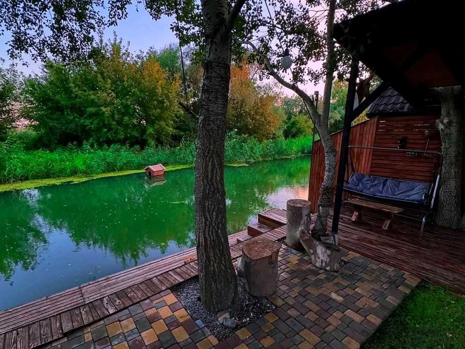 Будинок. Біляївка, Костина