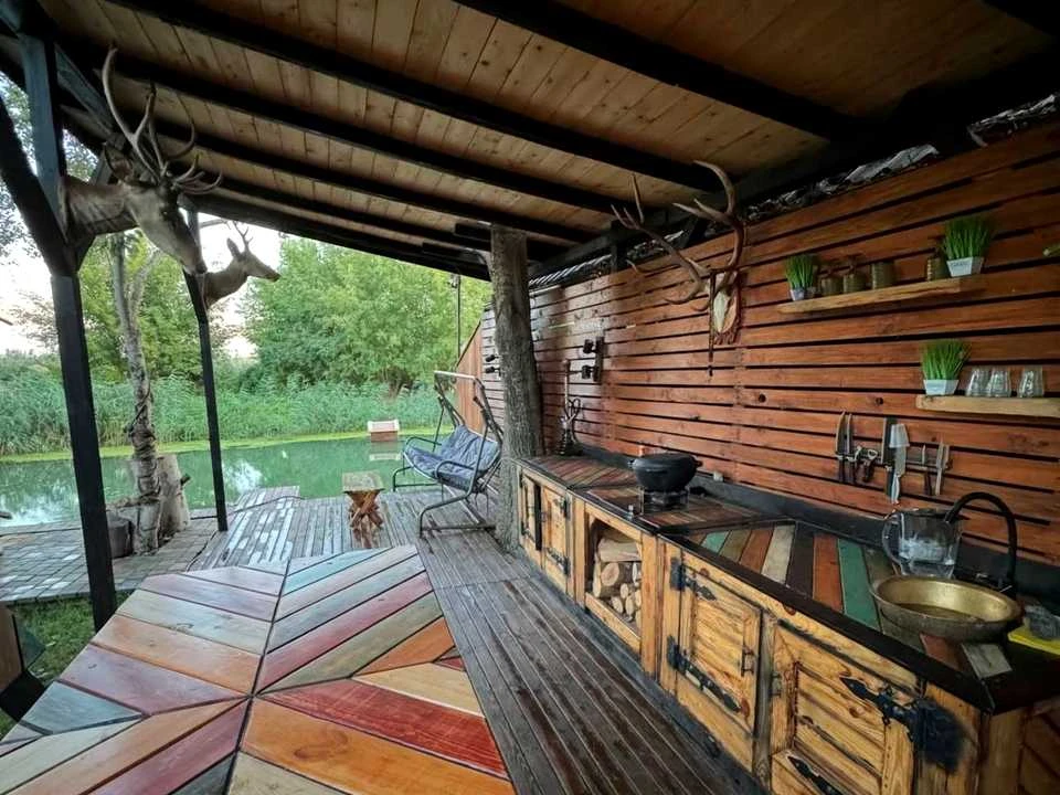 Будинок. Біляївка, Костина