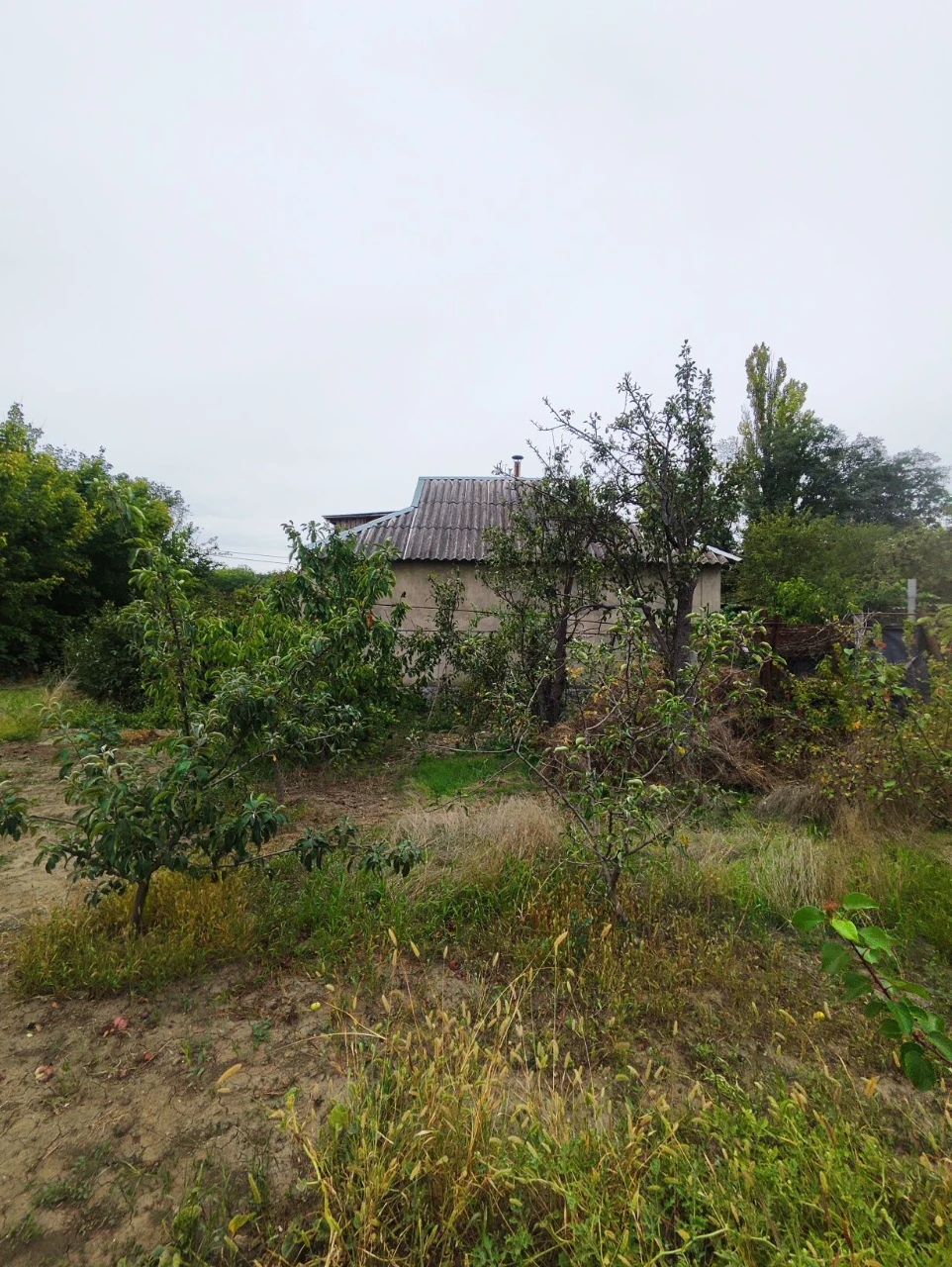 Продам дом по центральной улице.