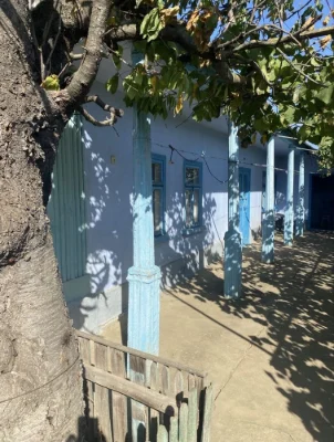Срочная продажа. Загородный дом в Измаиле