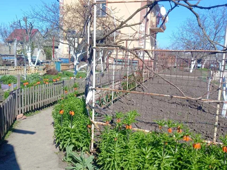 Будинок. Чорноморськ