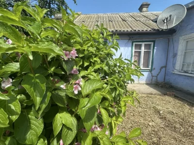 Капитальный Дом Александровка