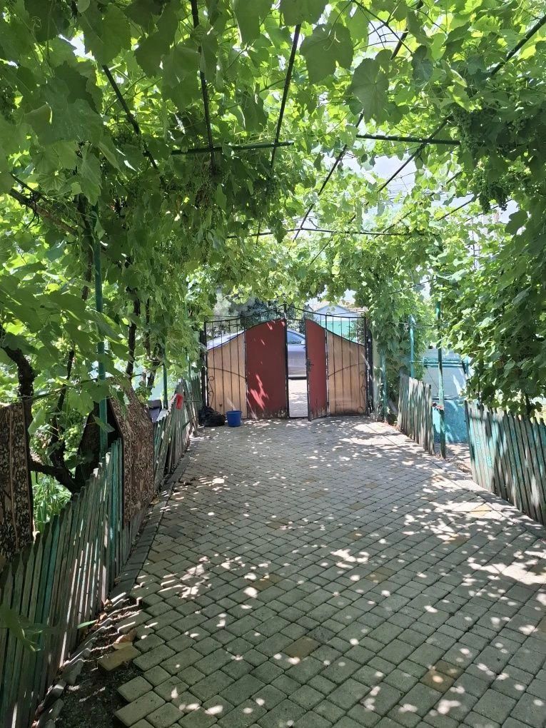Дом, город в пешей доступности.