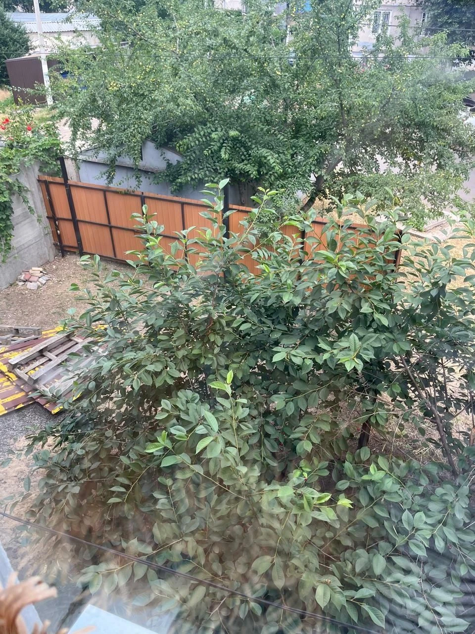 Продам Дом в Черноморске в районе парка