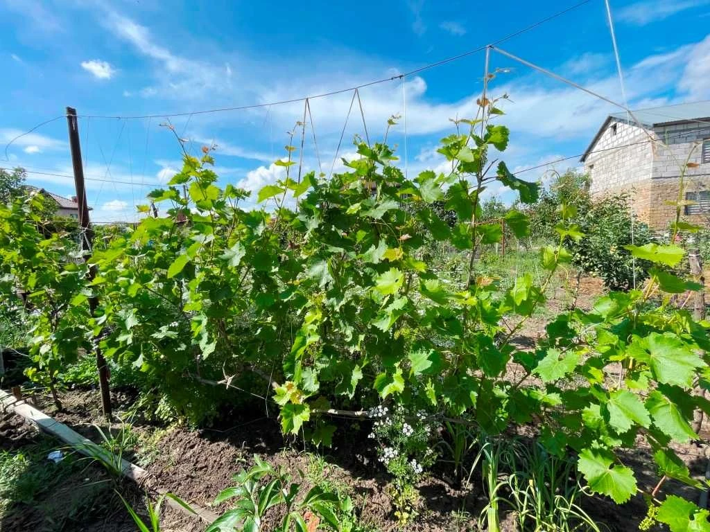 Продаж садового будиночку біля моря в м.Чорноморськ!
