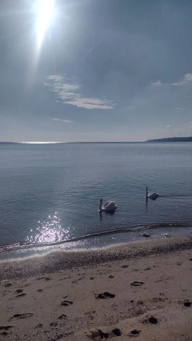 Домік у мору. Чорноморськ . 114 Причал.