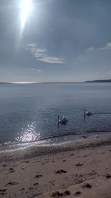 Домік у мору. Чорноморськ . 114 Причал.