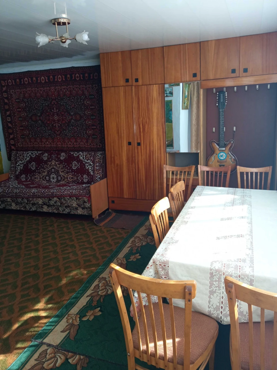 Продаётся дом в г.Кодыма по ул.Франца Карпинского,67