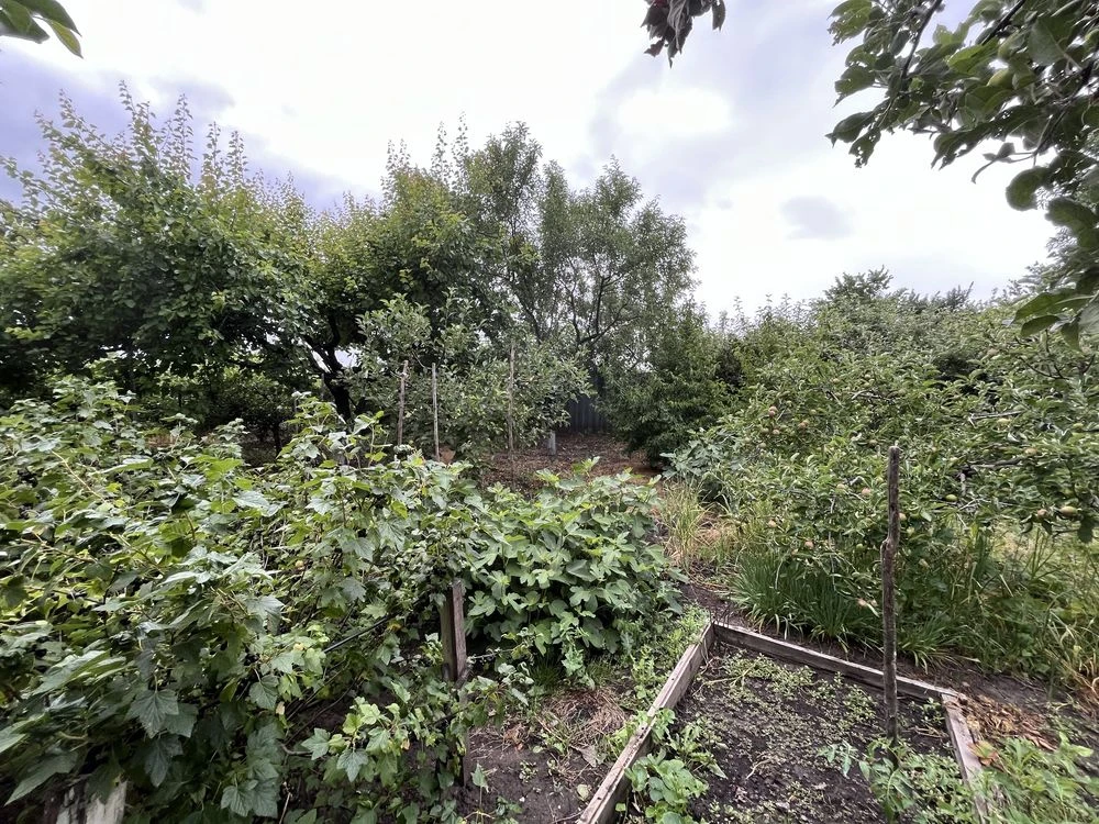 Продам дачу в с. Біленченківка