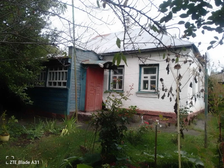 Продам будинок в м.Гадяч .Заяр