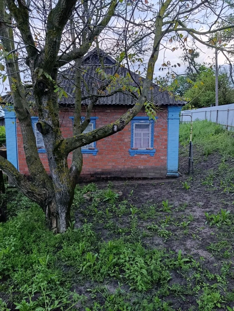 Продам будинок у селі