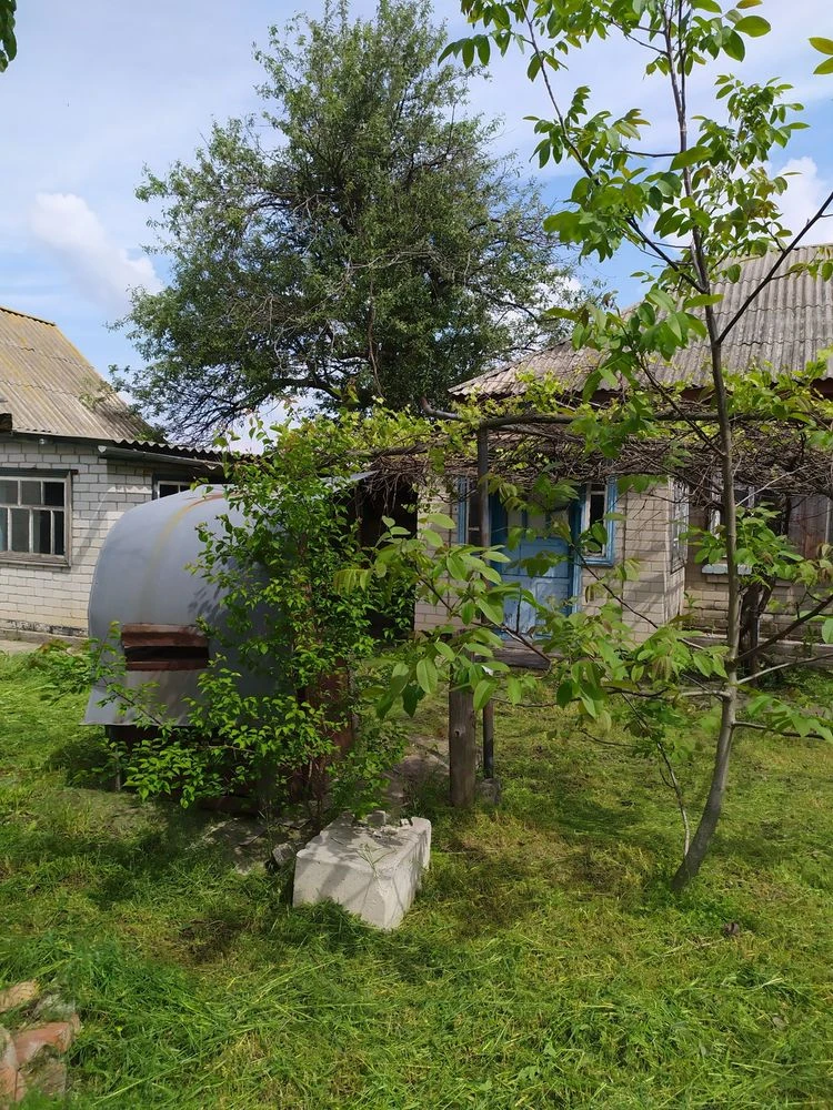 Будинок, дача біля річки