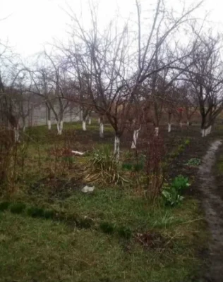 В Глобино Полтавська обл
