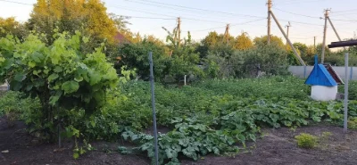 Будинок у центрі міста Гребінка