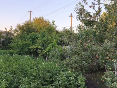 Продаж Дім
