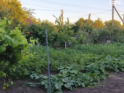 Продаж Дім