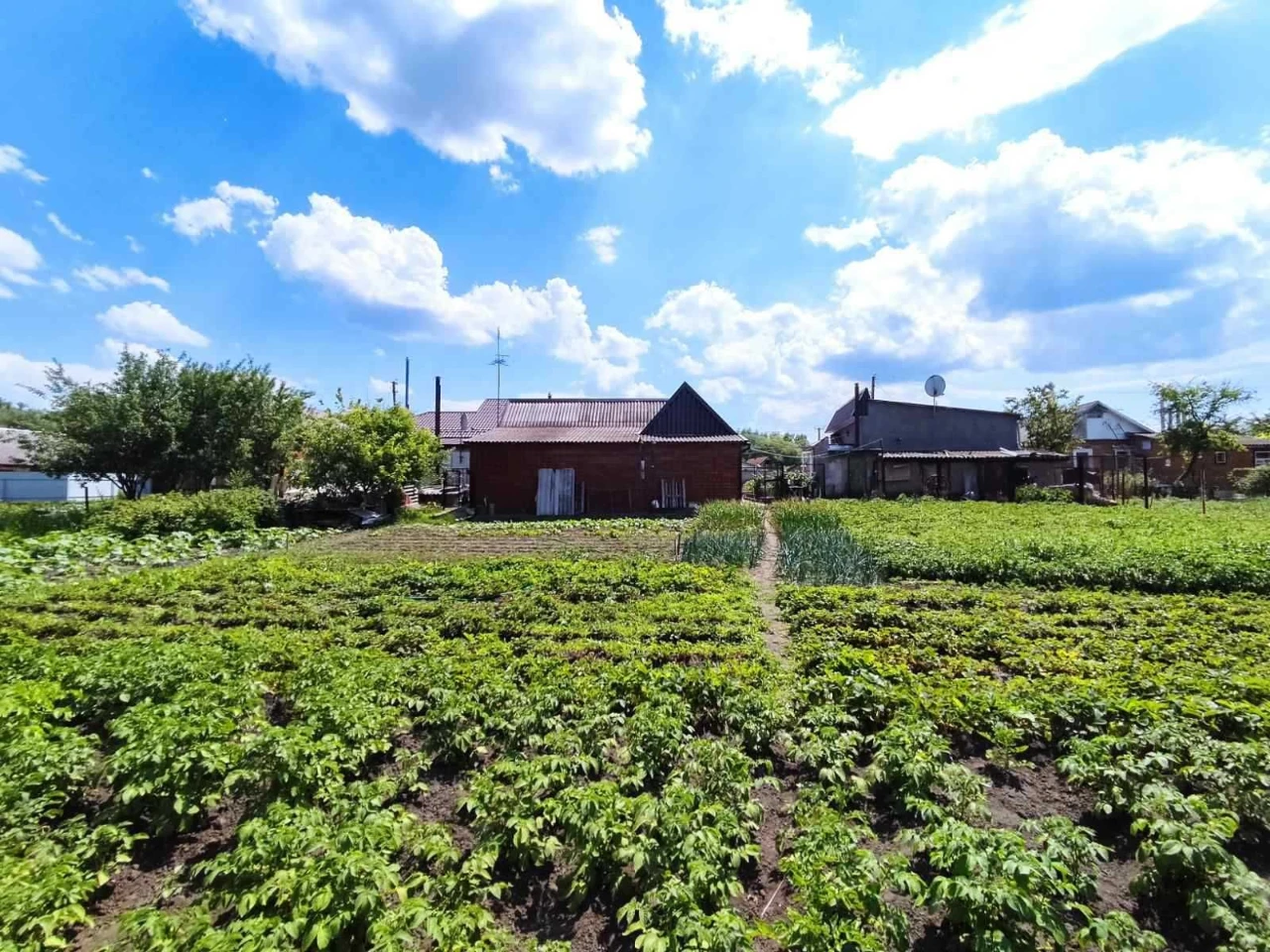 Продам будинок в м. Зіньків