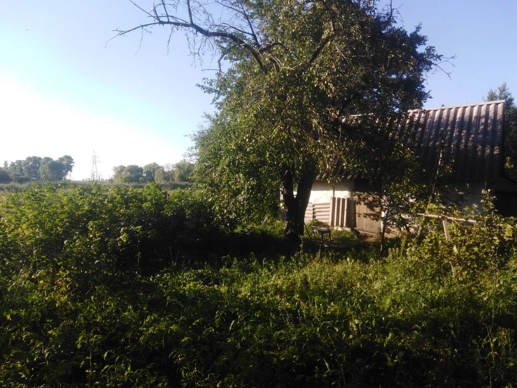 Будинок в м. Карлівкавка Полтавської обл.